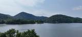 246 Cherokee Boat Dock Road - Photo 30