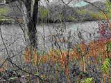 0 River Rapids Way ( ) - Photo 13
