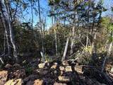 Tract 4 Topaz Way - Photo 8
