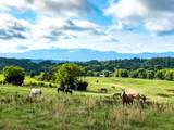 0 Hwy 139 - Photo 7