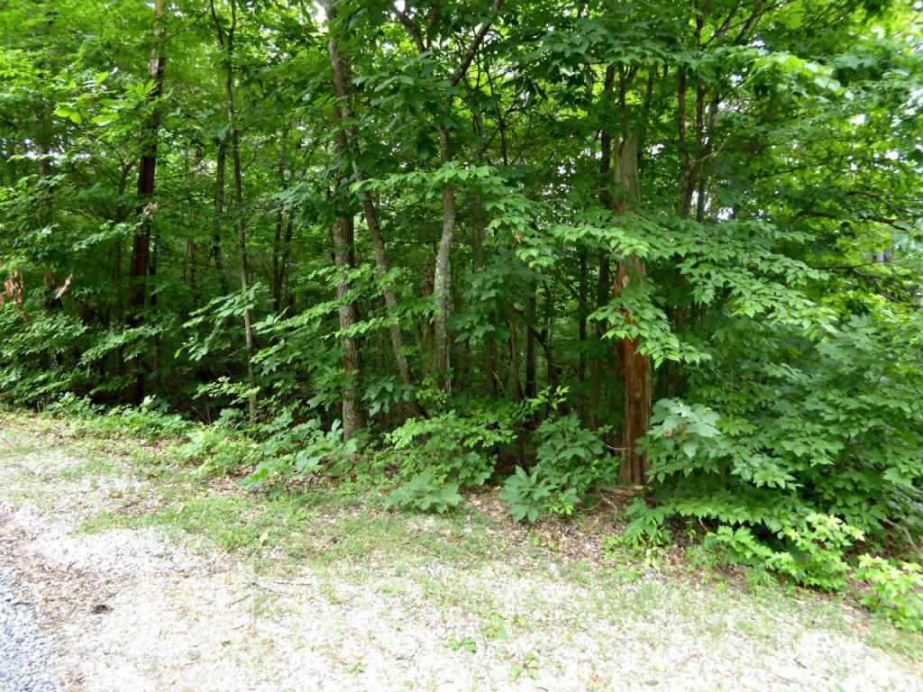 Lot 1235 Rustic Dr - Photo 1