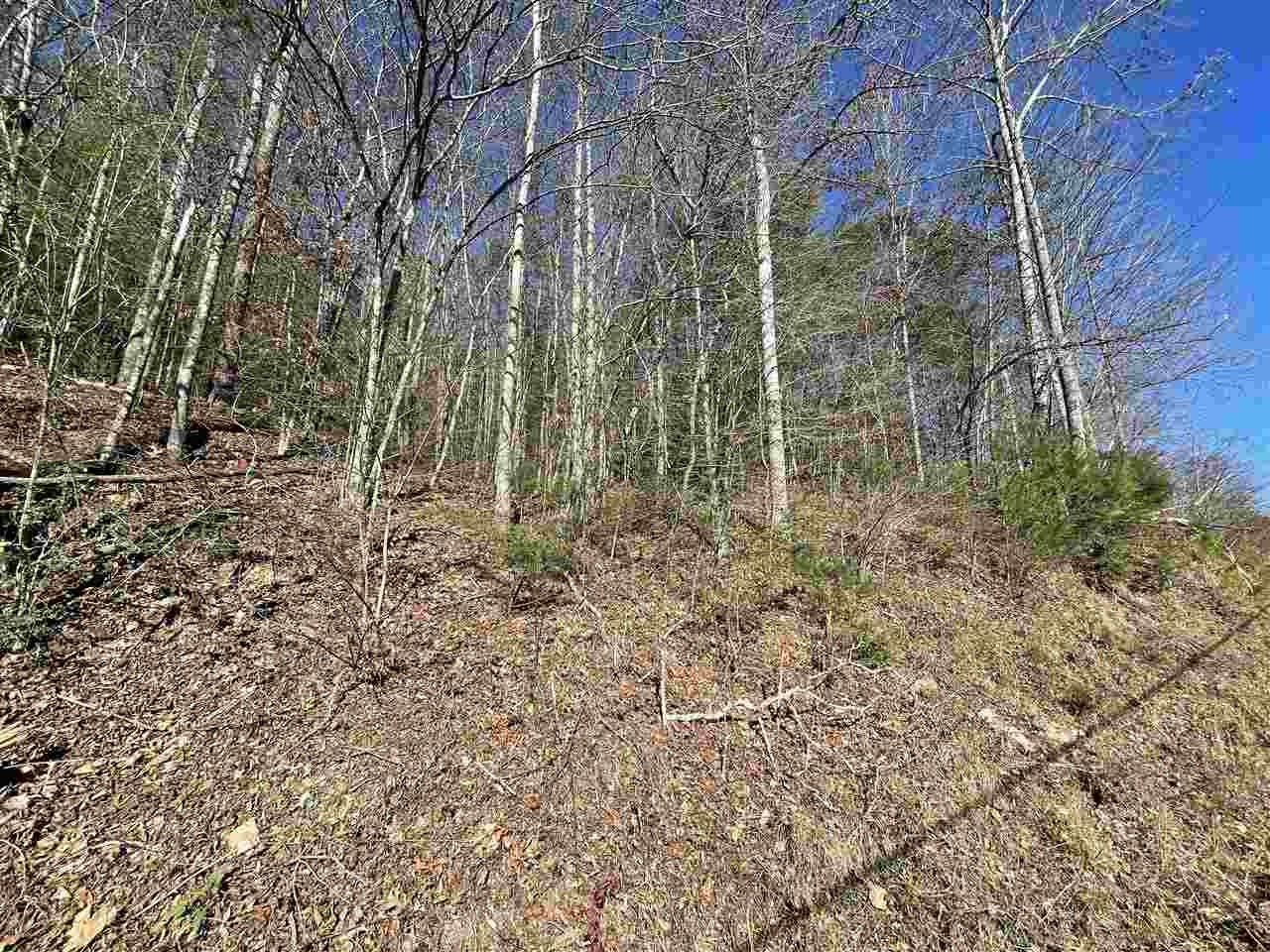 XX Raven Branch Rd - Photo 1