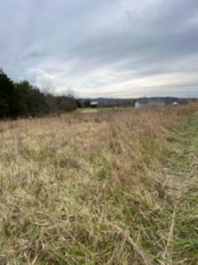 00 Wilson Gap Rd - Photo 1