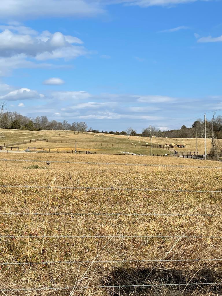Lot 11 & 12 Westwood Road - Photo 1