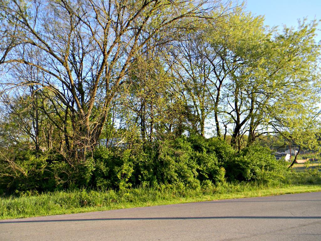 0 Mill Street - Photo 1