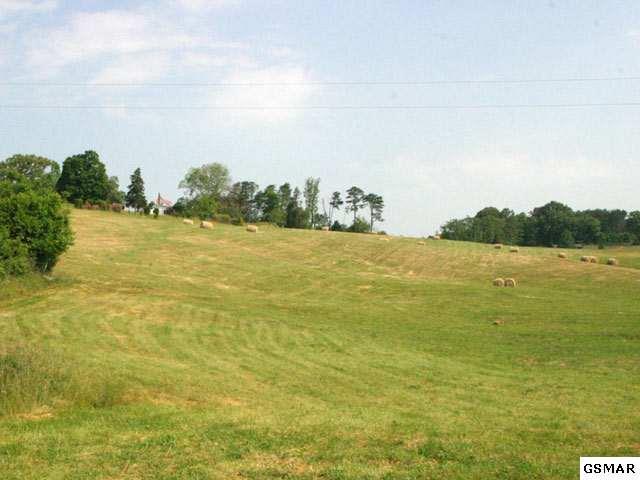 Lot 8 Forgety Road - Photo 1
