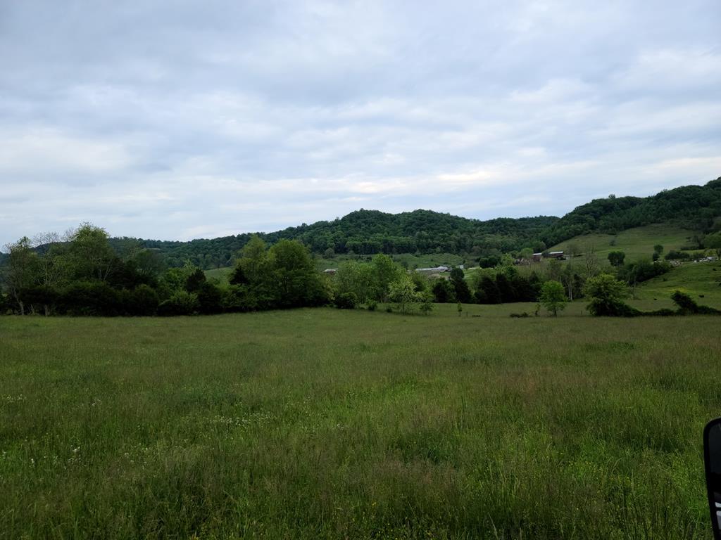 000 Stanley Valley Rd - Photo 1