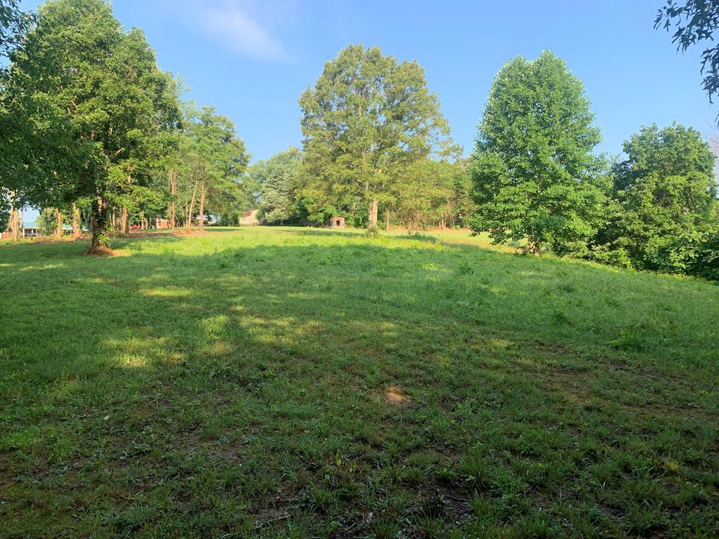 1505 Daisy Street - Photo 1