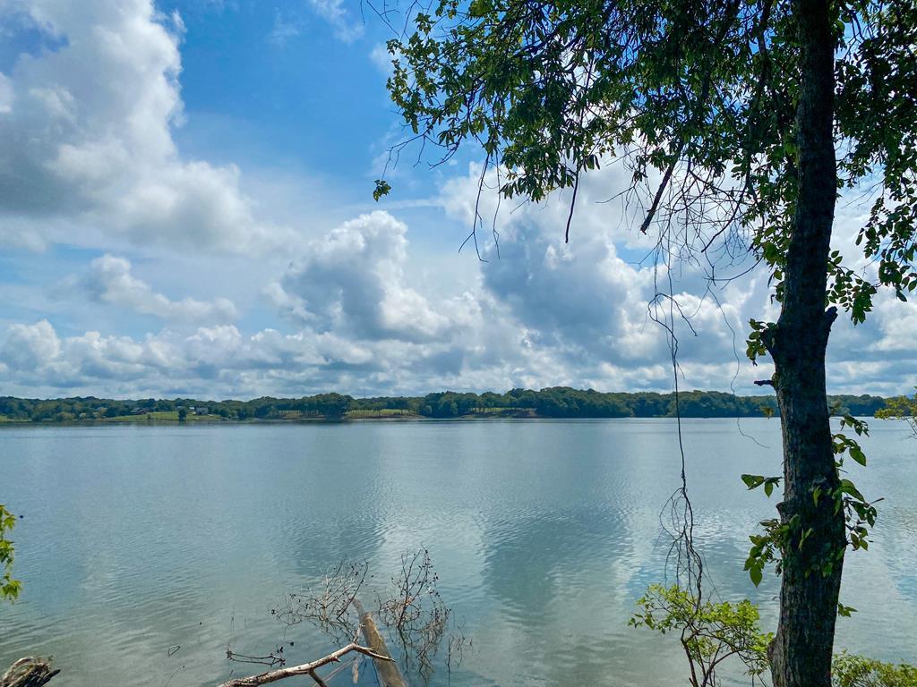 Lot 117 Ridge Point Trl - Photo 1