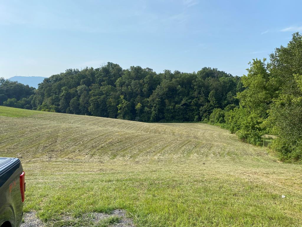 205 Wye Road - Photo 1