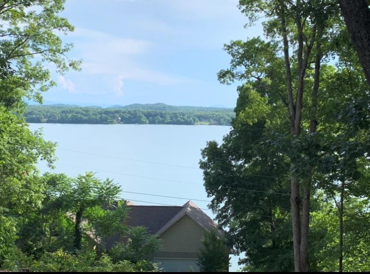 Mountain View Lane - Photo 1