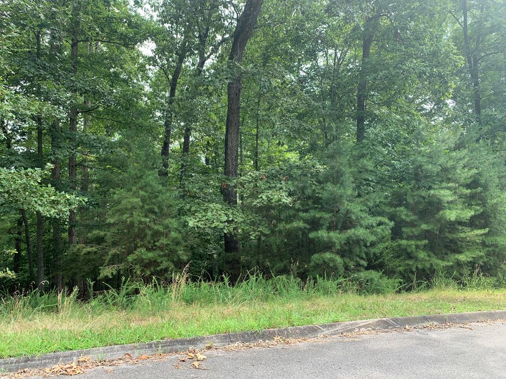Lot 14 Waterstone Drive - Photo 1