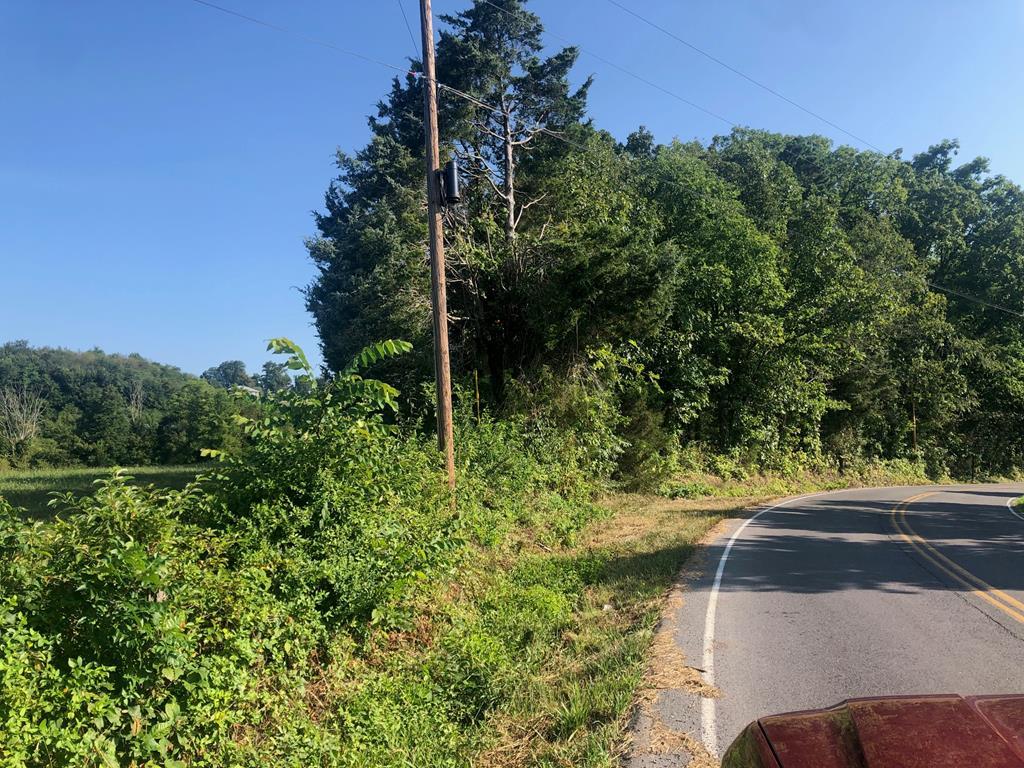 00 Robertson Creek Rd. - Photo 1