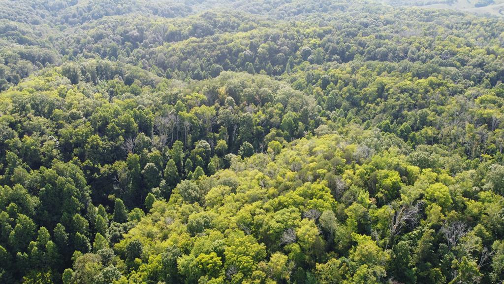 Toby Hollow Rd - Photo 1