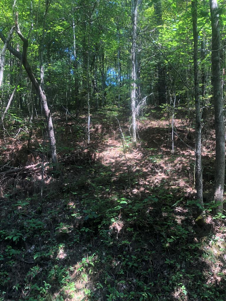 419 Vinson Hollow Rd - Photo 1