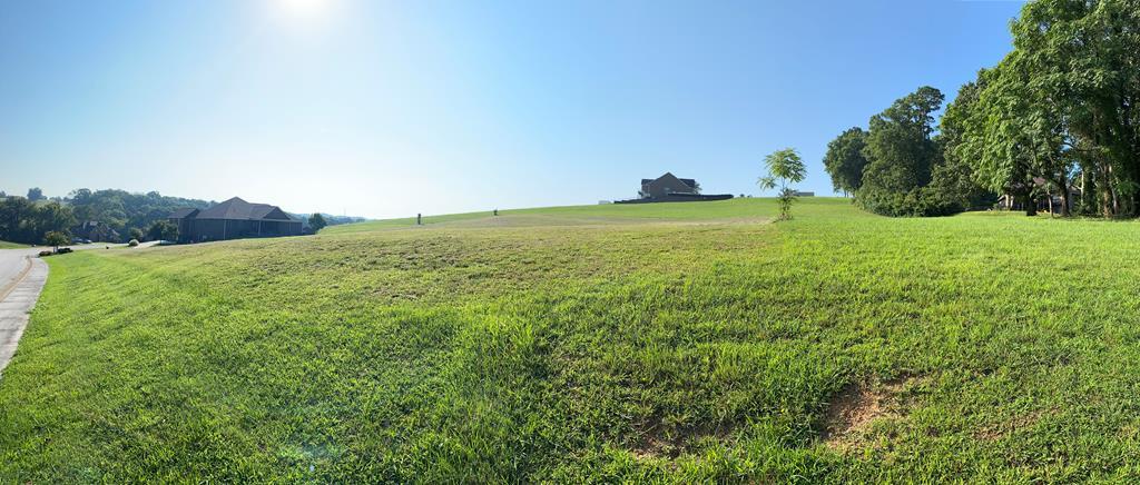 Lot 60 Majestic Circle - Photo 1