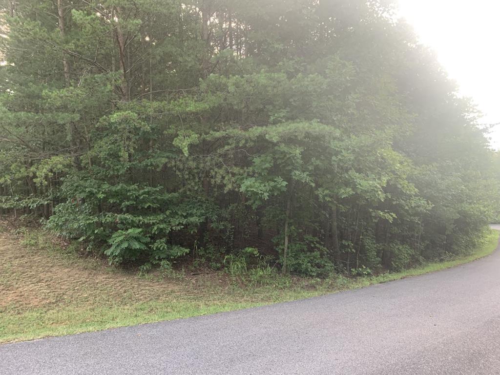 Shiners Trail Way - Photo 1
