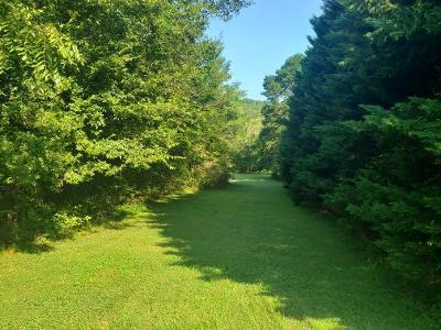 LOT 10 Martha Dandridge Circle - Photo 1