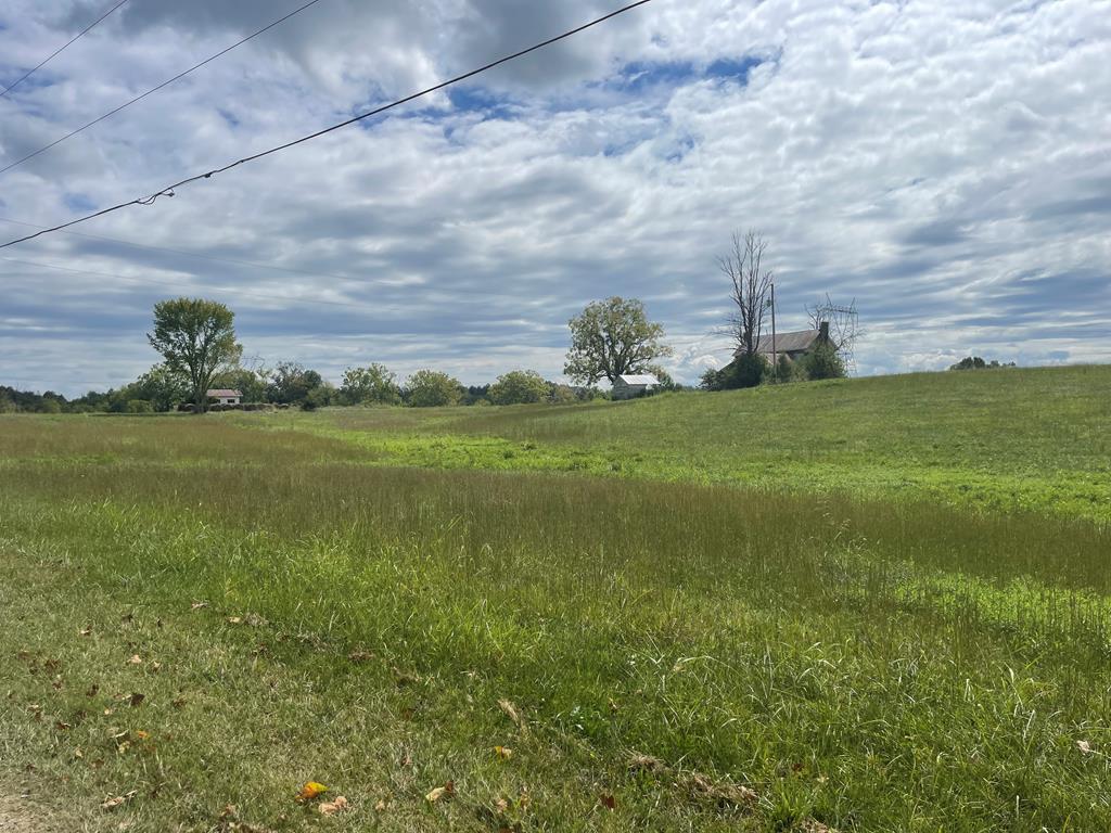 784 Hawkins Ln. - Photo 1