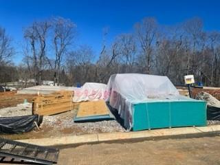 168 Jesse Baker Lane - Photo 1