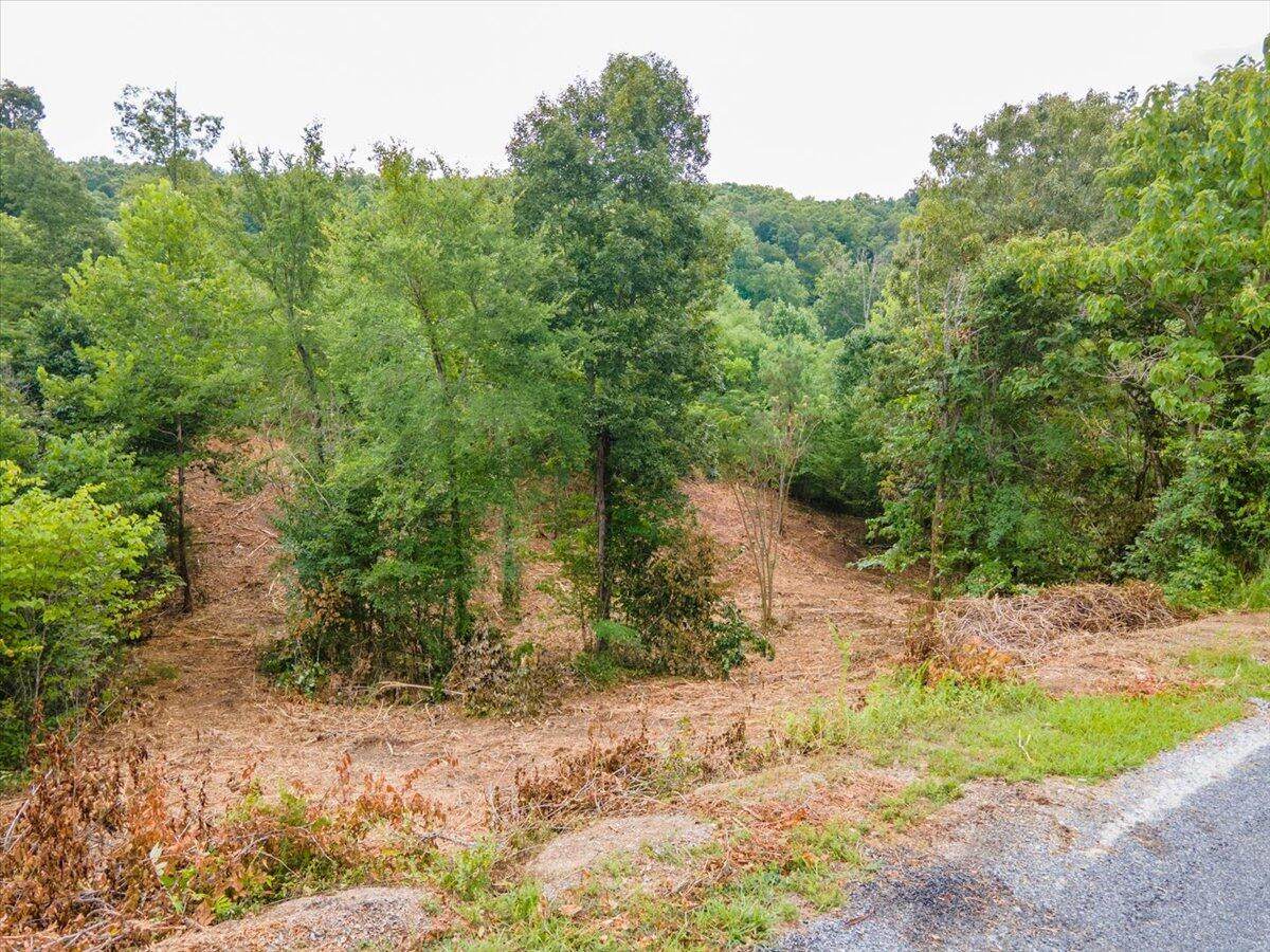 Lot 102 Stone Bridge Dr - Photo 1