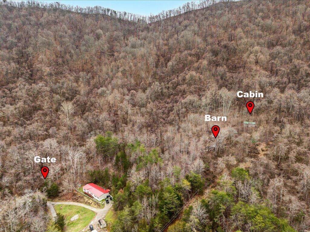 902 Charlie Dalton Lane - Photo 1