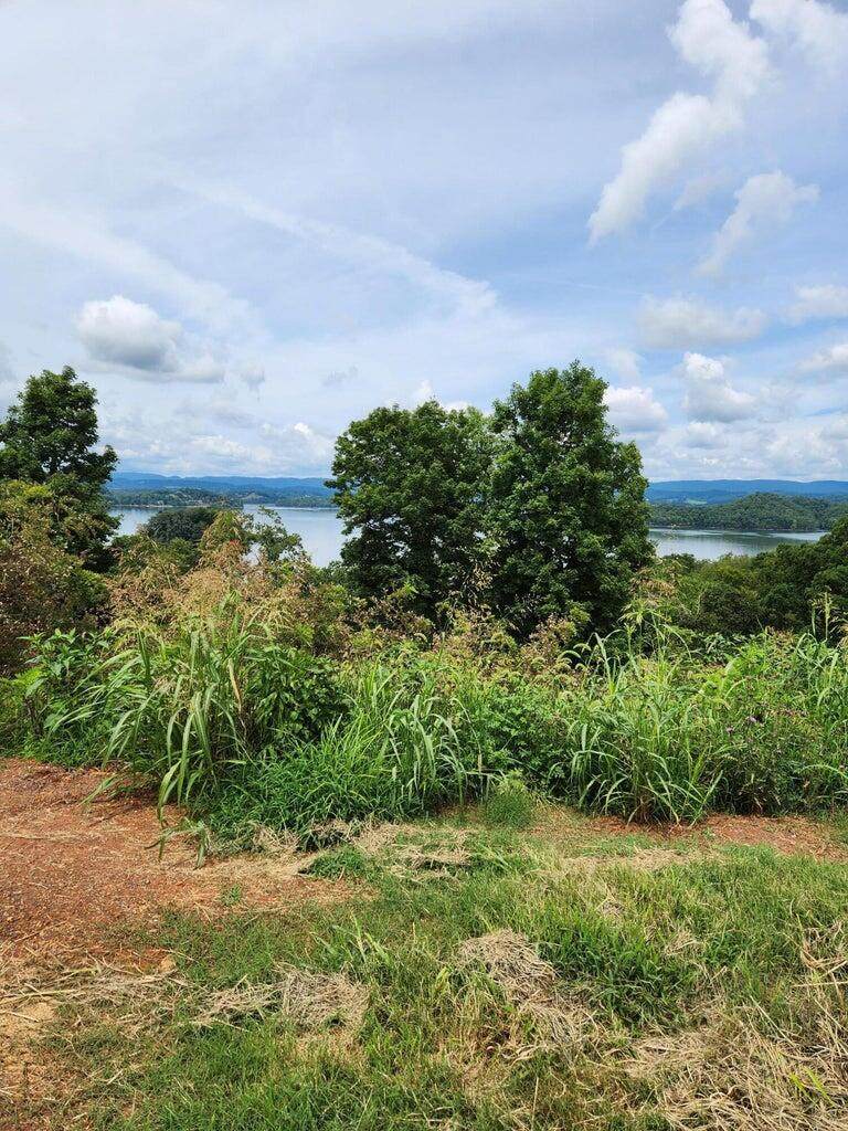 2643 Serenity Sound - Photo 1