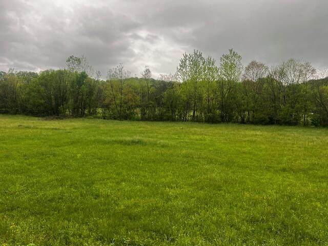 00 Fowlers Grove Rd - Photo 1