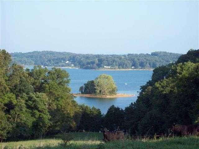254 Alberts Cove Cove - Photo 1