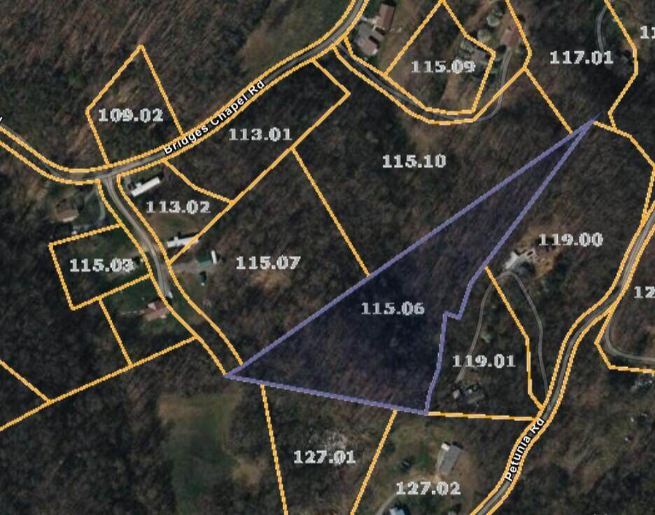 3.97 acres Bridge Chapel Road - Photo 1