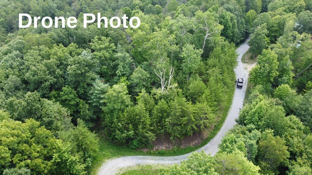 Little Bear Trail - Photo 1