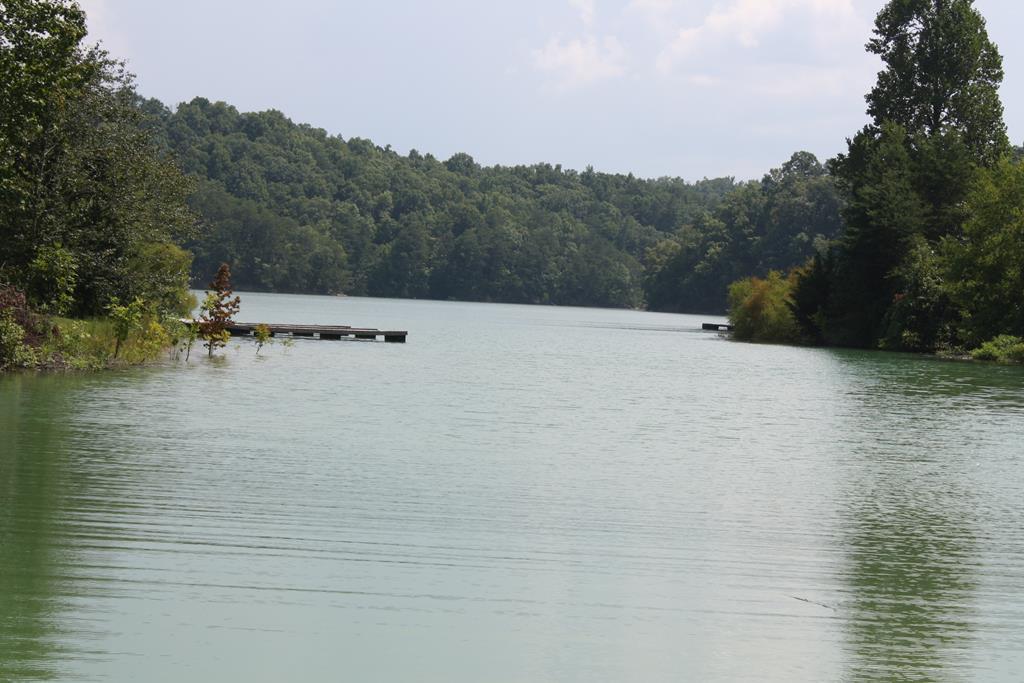 Lot 7 Kimsey Way - Photo 1