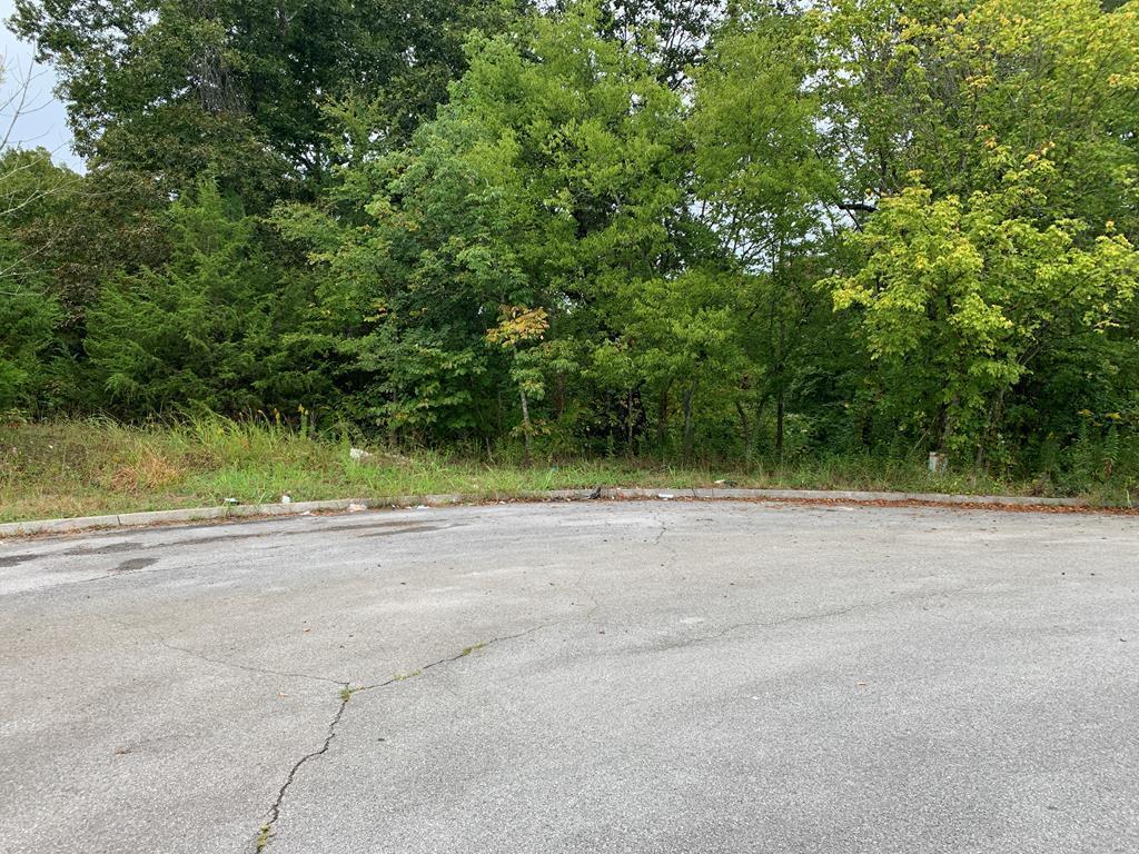 Parcel 19 & 20 Murrell Meadows Drive - Photo 1