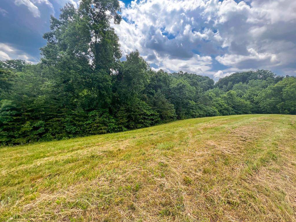 2004 Turners Landing Road - Photo 1
