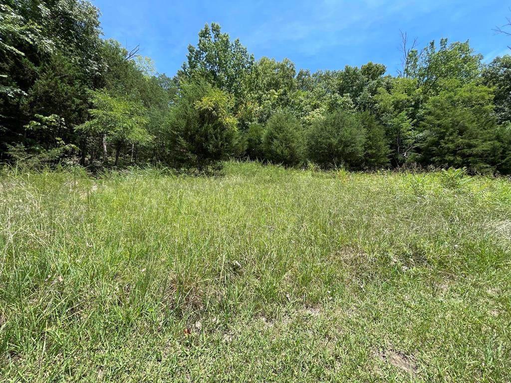102 Lakeshore Way - Photo 1