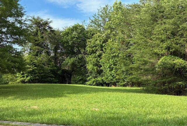 Lot 17 Waterstone Drive - Photo 1