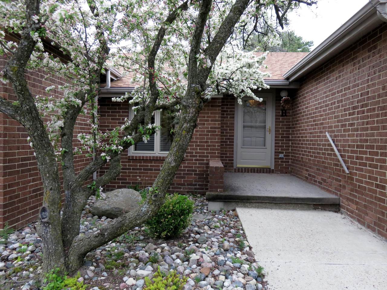 916 Montevideo Drive - Photo 1