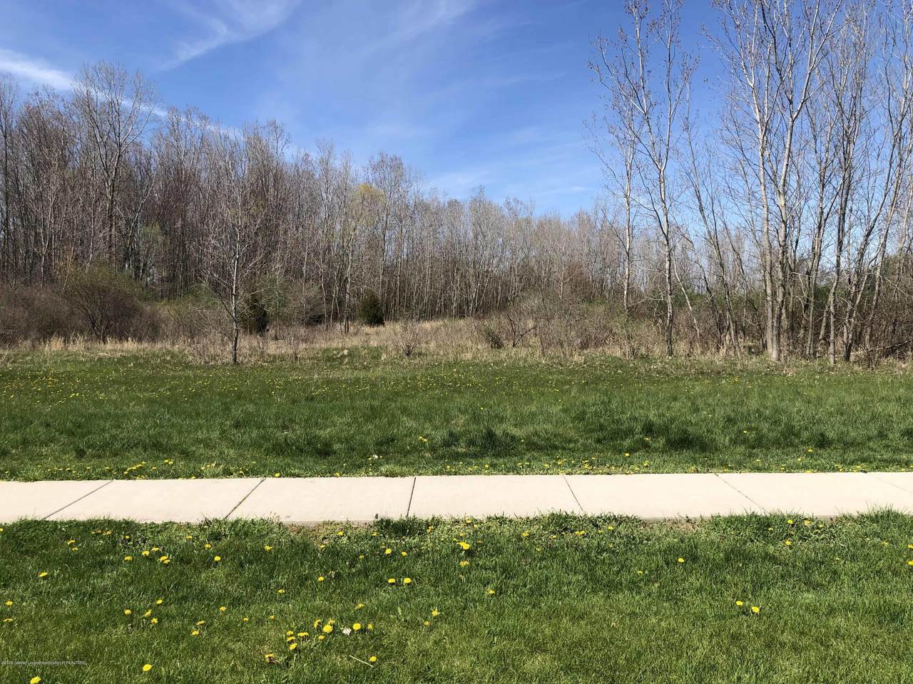 Parcel C Coppersmith Drive - Photo 1