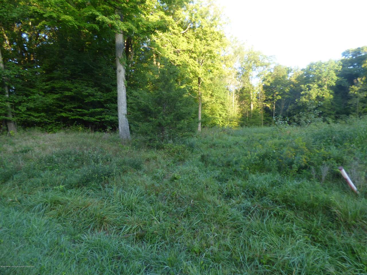 310 Thornapple - Photo 1