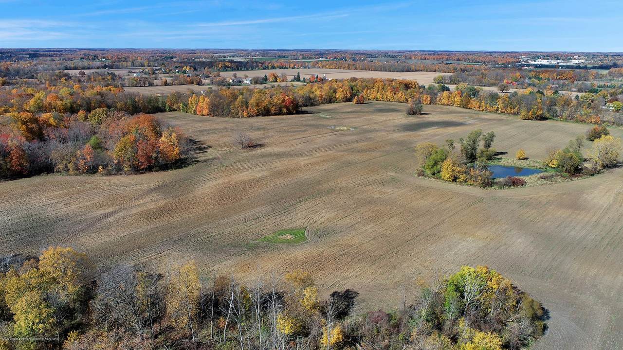 3990 Cochran Road - Photo 1