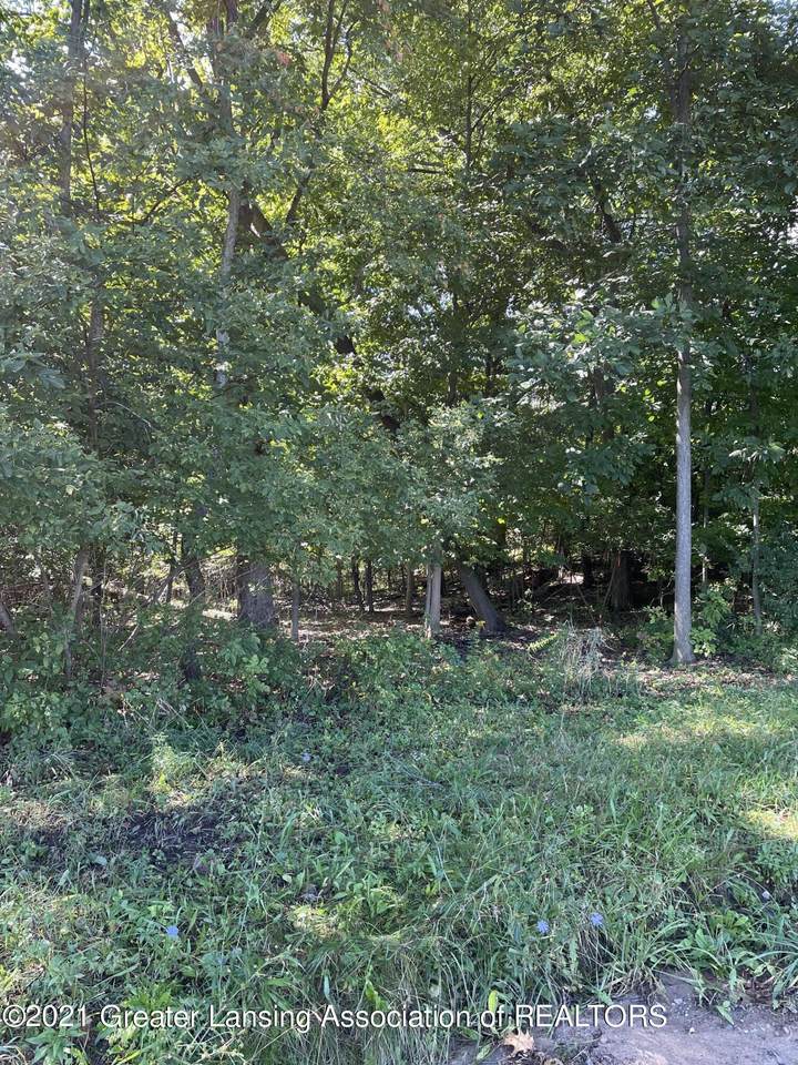 B1 County Line Road - Photo 1