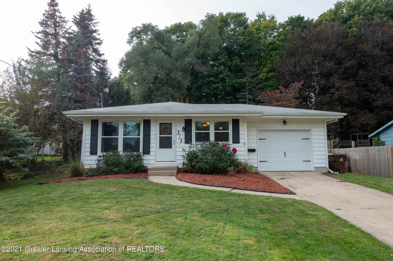 313 Ferguson Road - Photo 1
