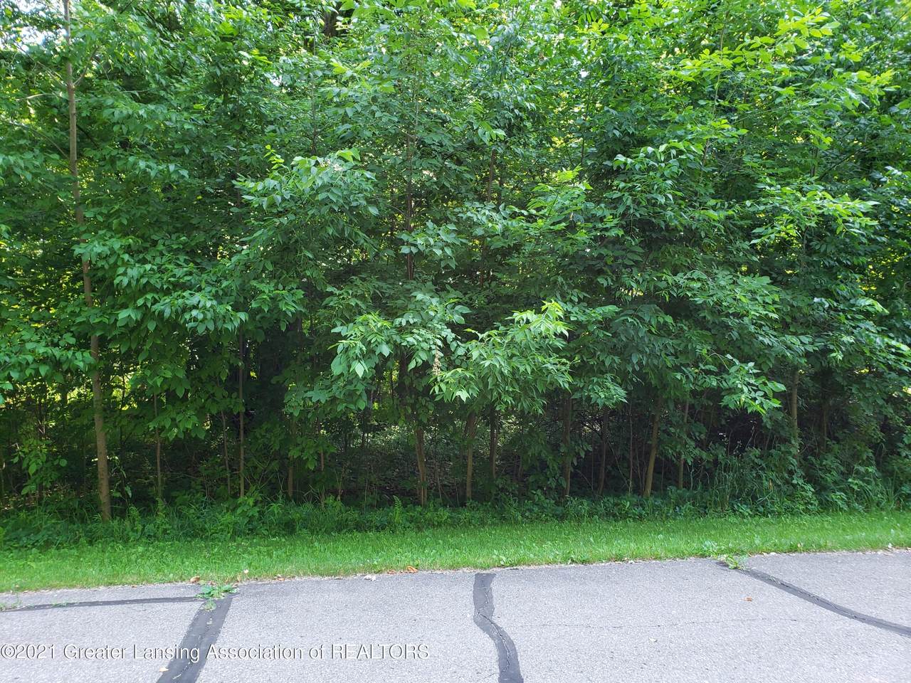 9536 Brandi Lane - Photo 1