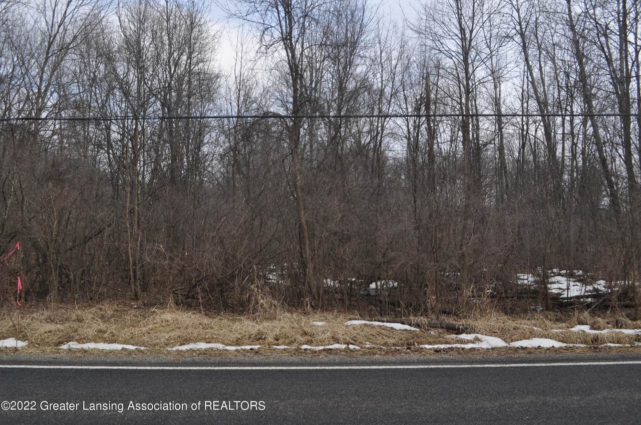 C Watson Road - Photo 1