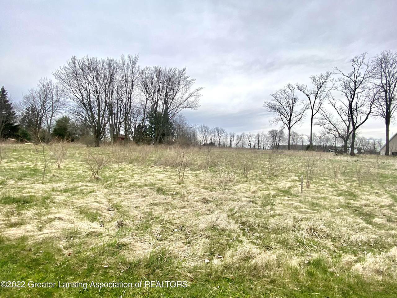 6850 Winston Avenue - Photo 1