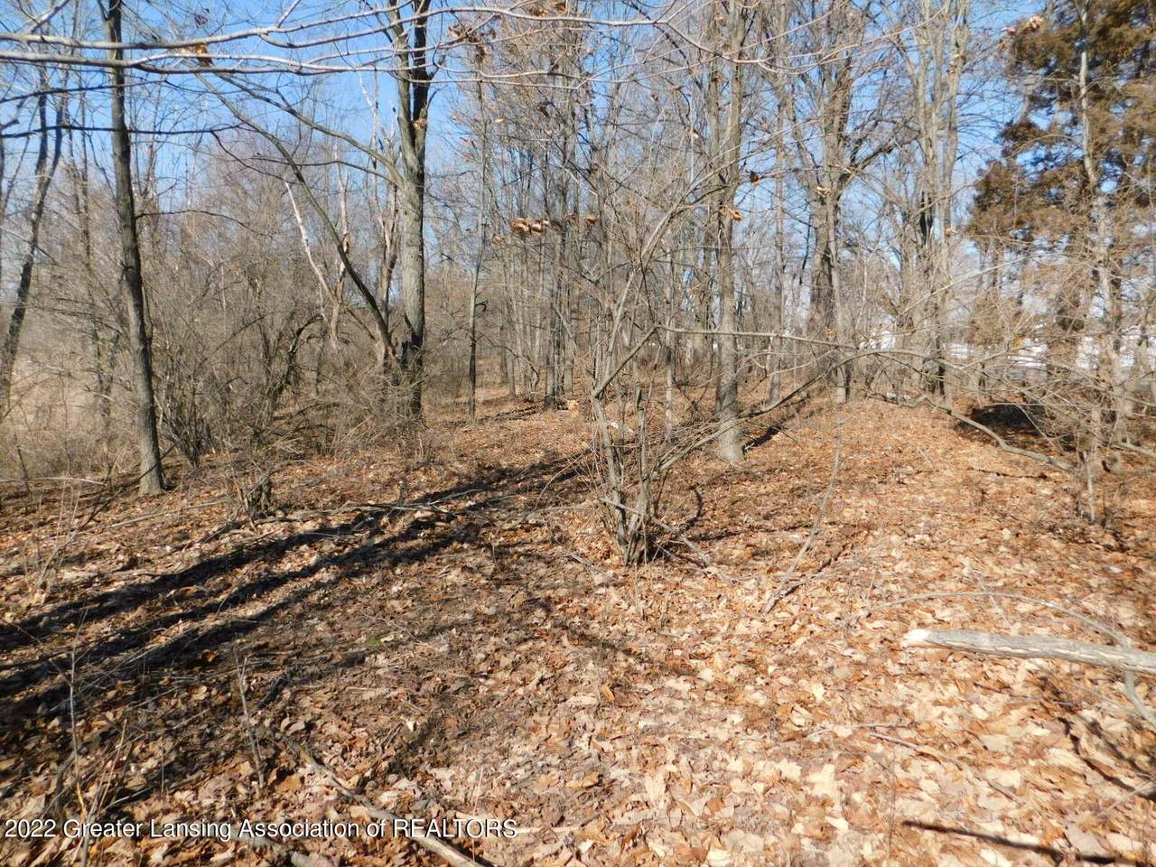 0 Dexter Trail - Photo 1
