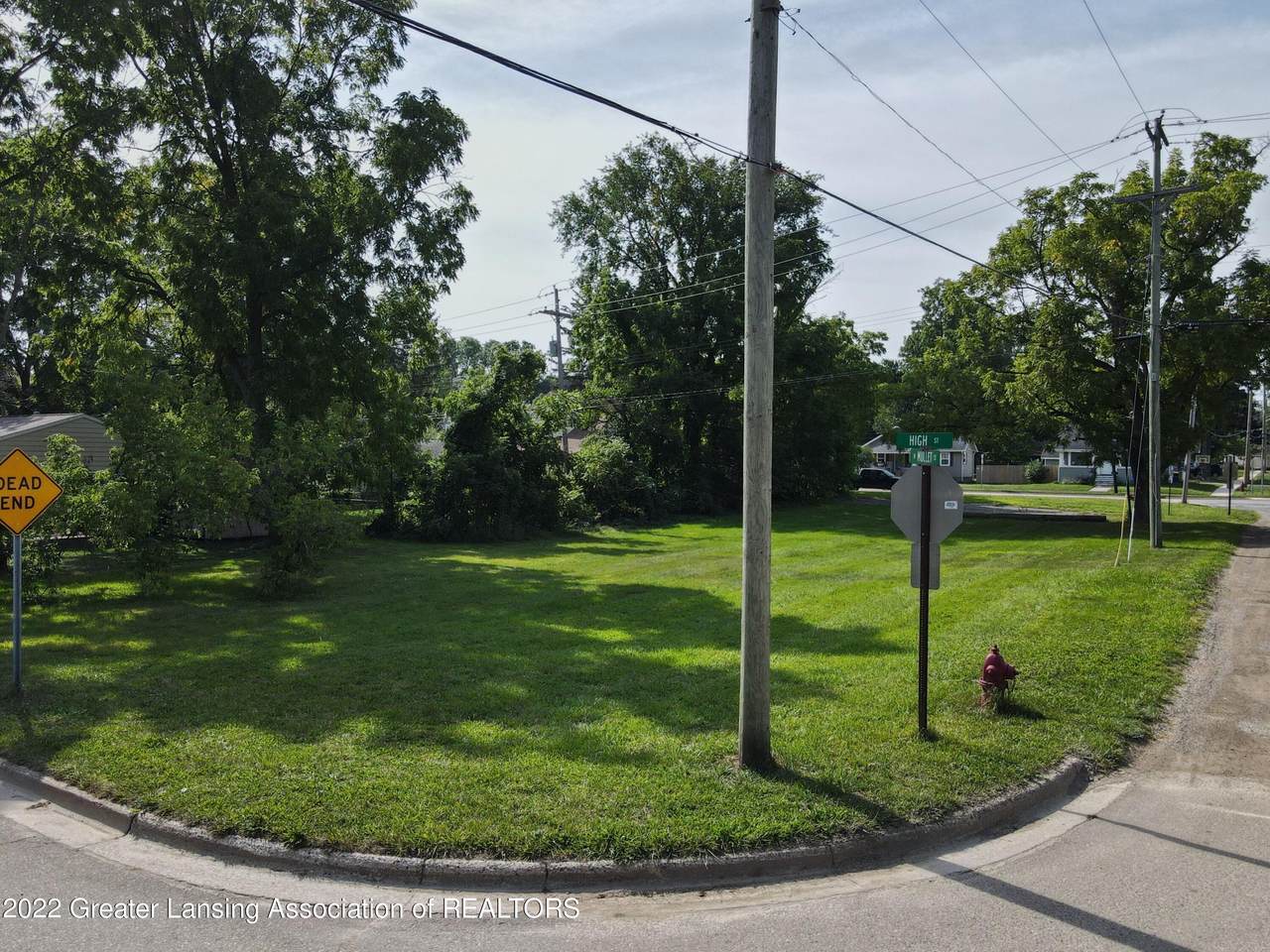 703 Grand River - Photo 1