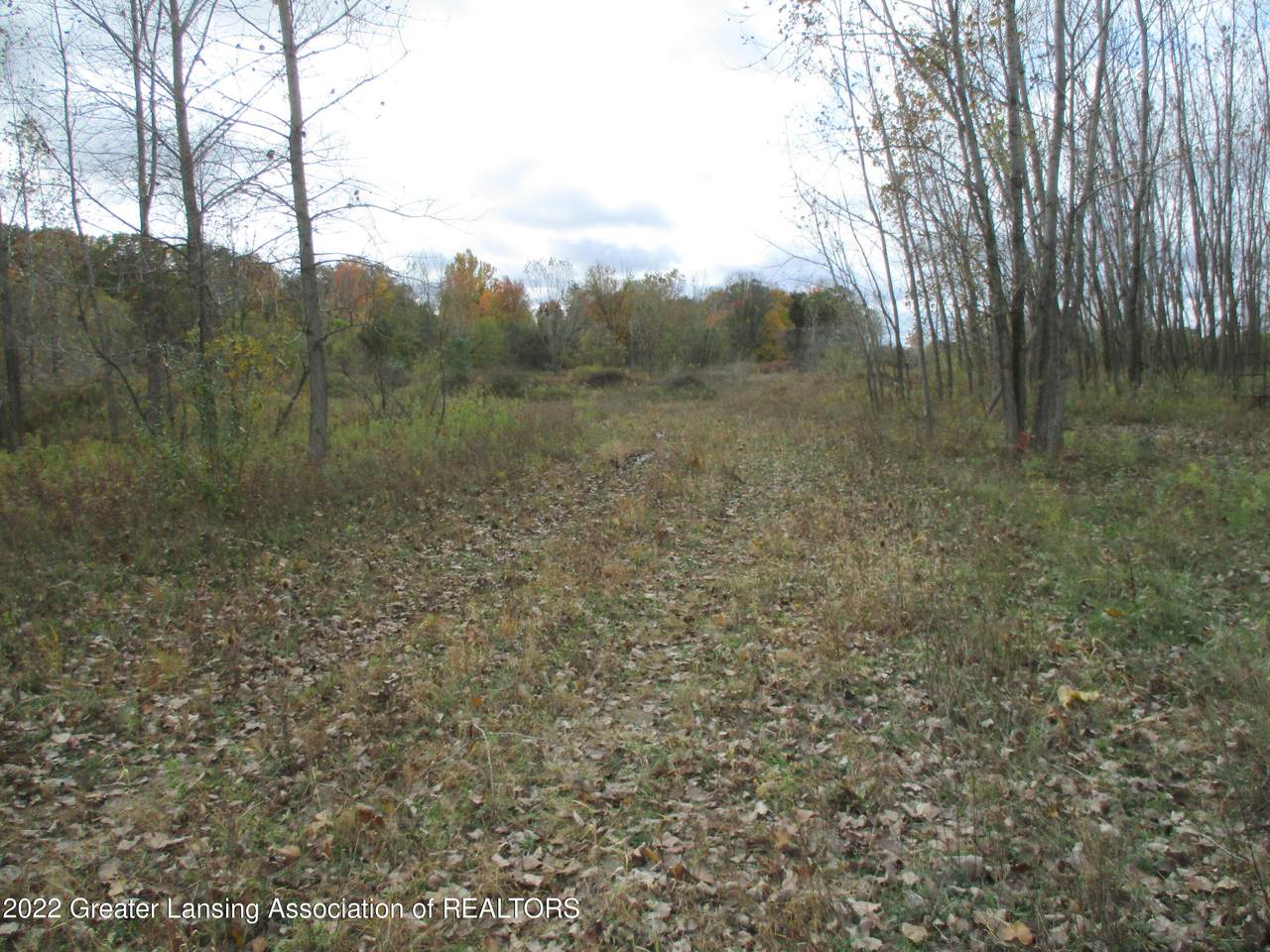 747 Packard Highway - Photo 1