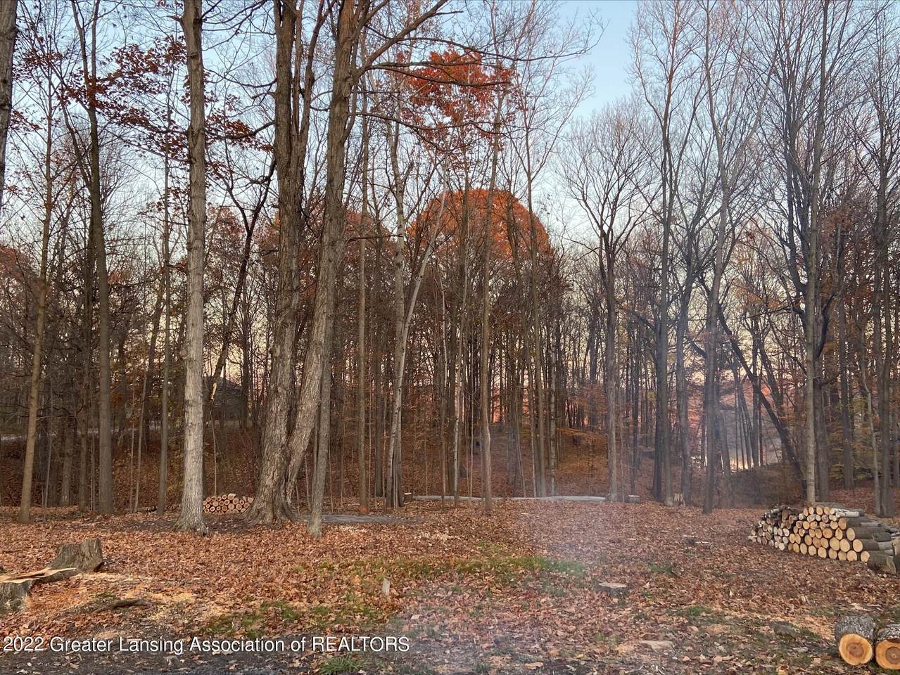 10007 Lakeside Drive - Photo 1