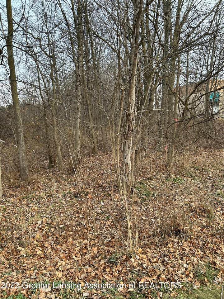 000 Mabbit Road - Photo 1